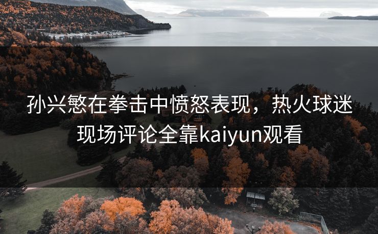 孙兴慜在拳击中愤怒表现，热火球迷现场评论全靠kaiyun观看